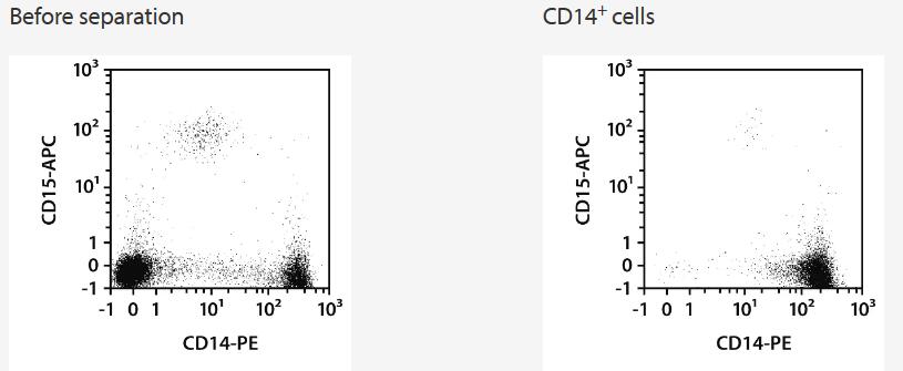 Separation of an LRSC sample using the StraightFrom LRSC CD14 MicroBead Kit and the MultiMACS Cell24 Separator Plus with the Single-Column Adapter and LS Columns. Cells were fluorescently stained with CD14-PE, CD15-APC, as well as CD45-VioBlue and analyzed by flow cytometry using the MACSQuant Analyzer. Cell debris and dead cells were excluded from the analysis based on scatter signals and propidium iodide fluorescence.